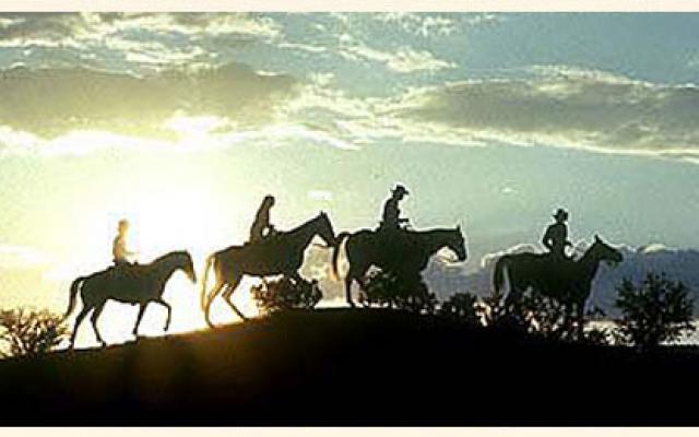 Passionate Horse Riding Trip Packages