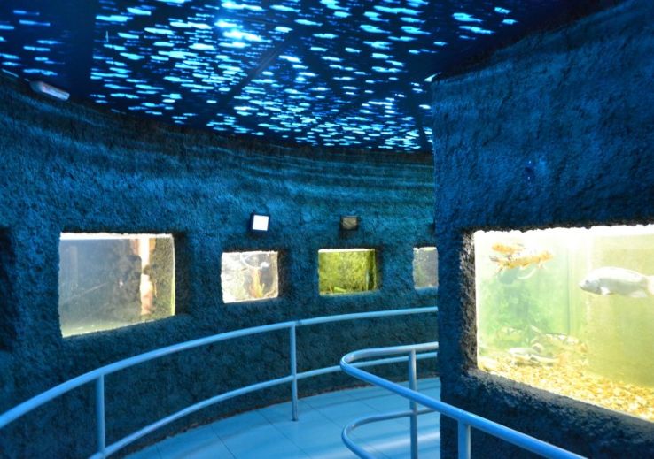 Acuario Municipal  Trip Packages