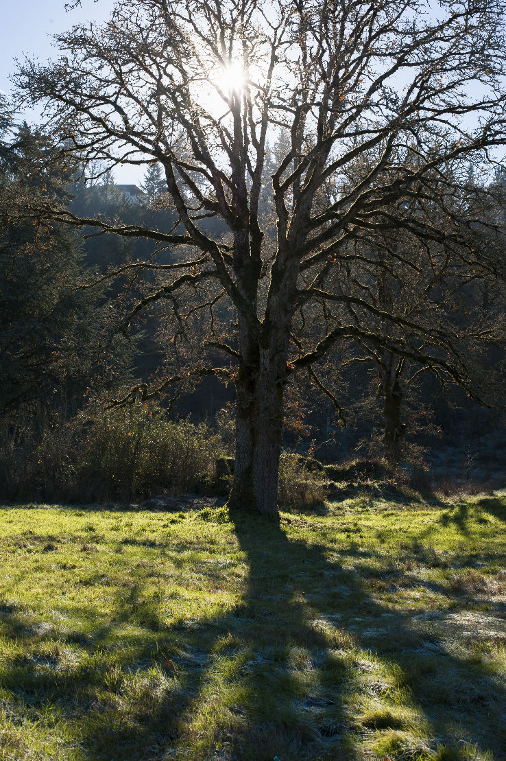 Bluffs Park  Trip Packages