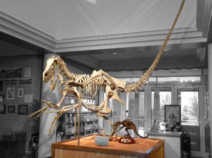 USU Eastern Prehistoric Museum 2021, 1 top things to do