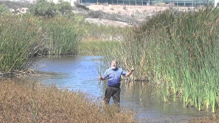 IRWD San Joaquin Marsh & Wildlife Sanctuary Trip Packages