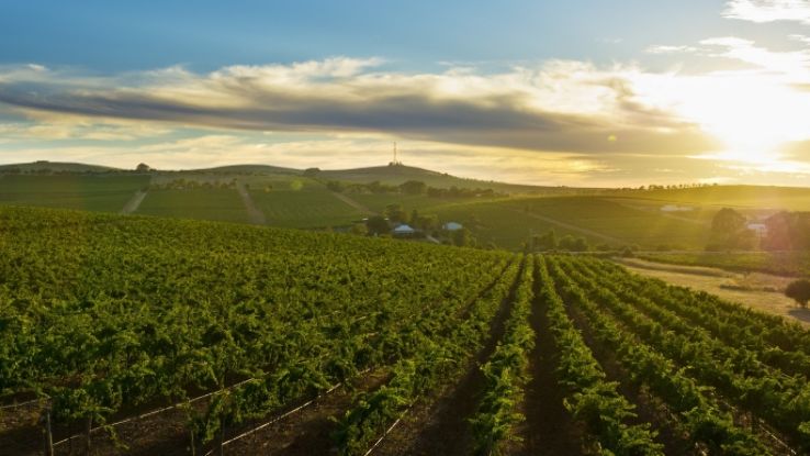 Clare Valley Trip Packages