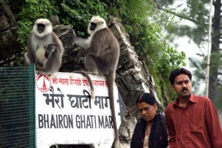 Bhairav Ghati Trip Packages
