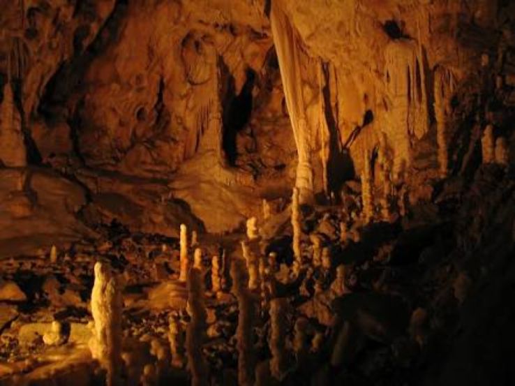 Bears cave Trip Packages