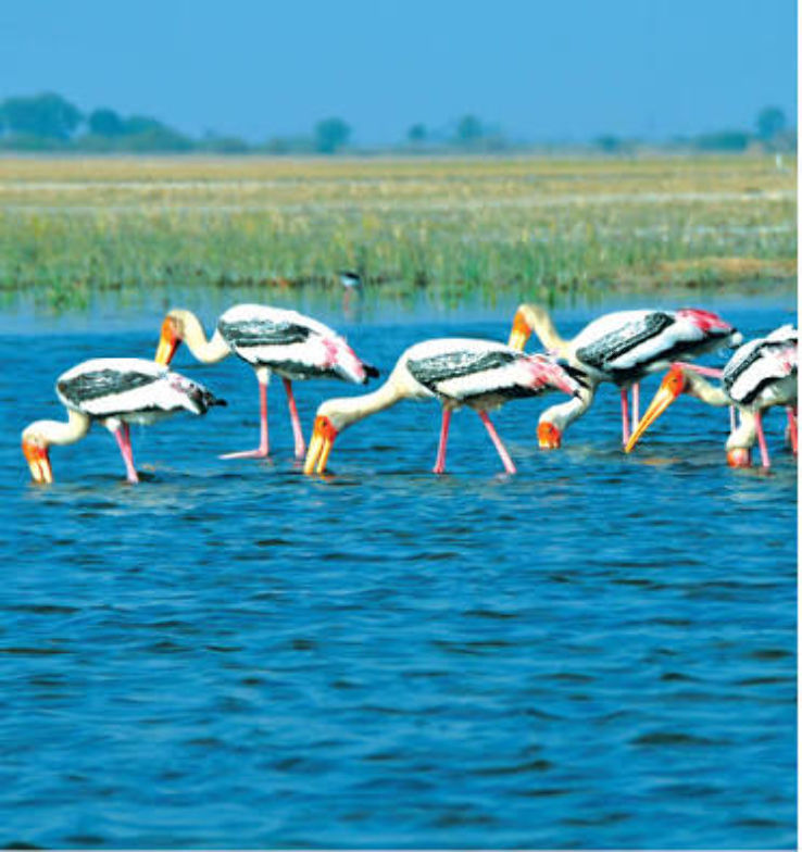 Amreli Trip Packages