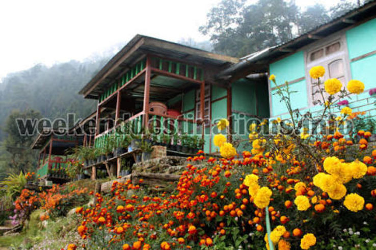 Sillerygaon  Trip Packages