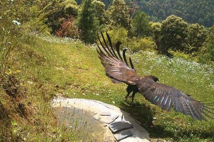 Jabarket Wildlife Reserve Trip Packages