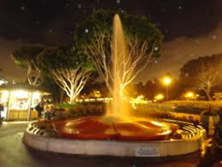 Disneyland Trip Packages