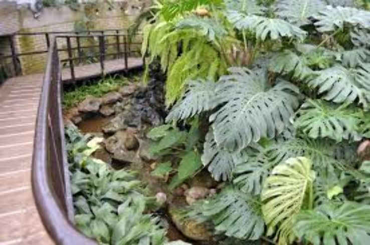 Bloemfontein Trip Packages