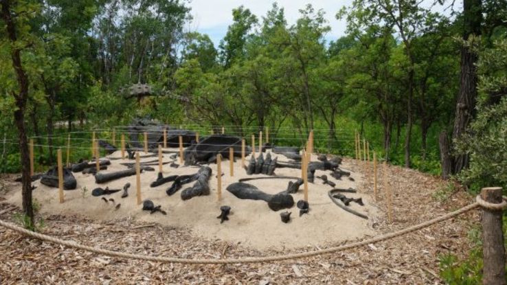 Go On a Dinosaur Dig  Trip Packages