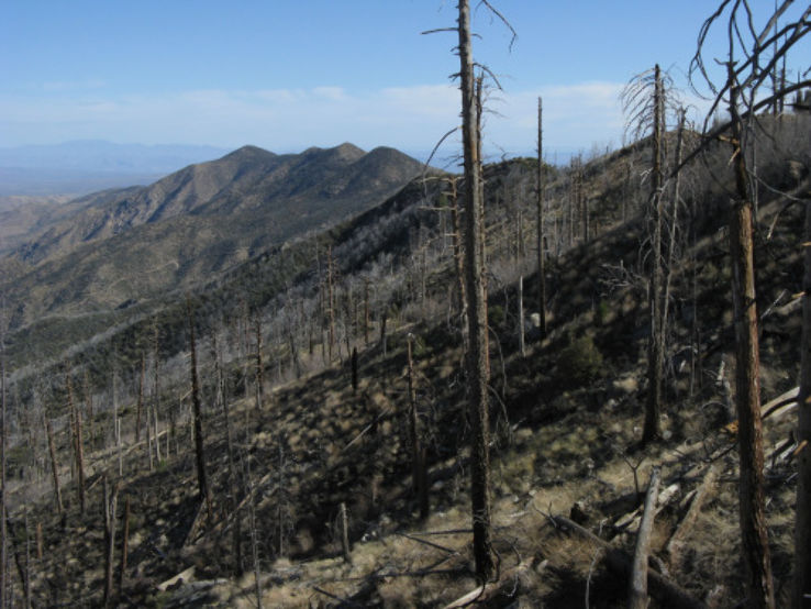 Hiking Trail Trip Packages