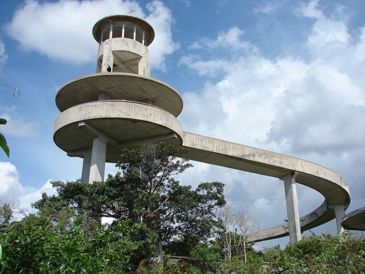 Shark Valley  Trip Packages