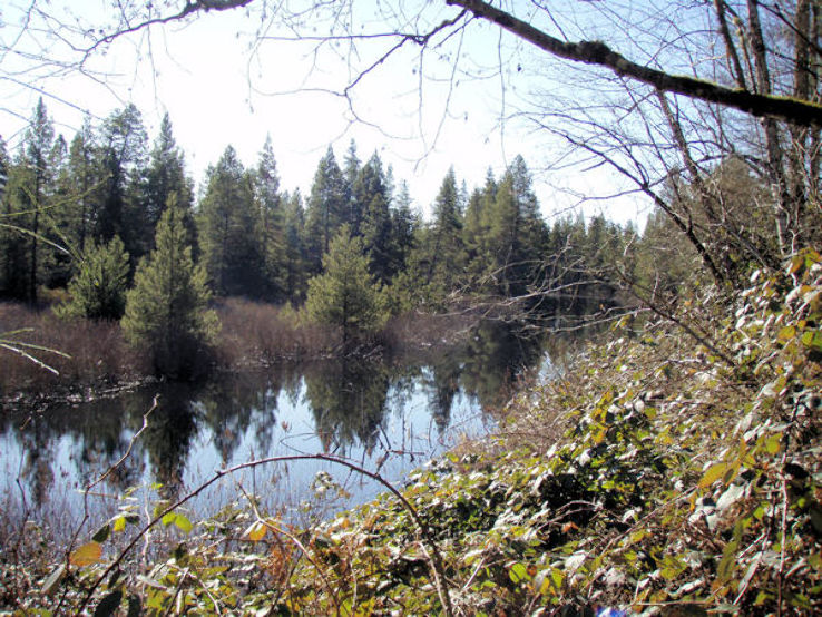 Danville Georgetown Open Space  Trip Packages