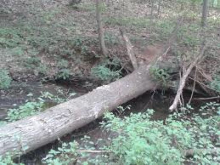 Quinnipiac River State Park  Trip Packages