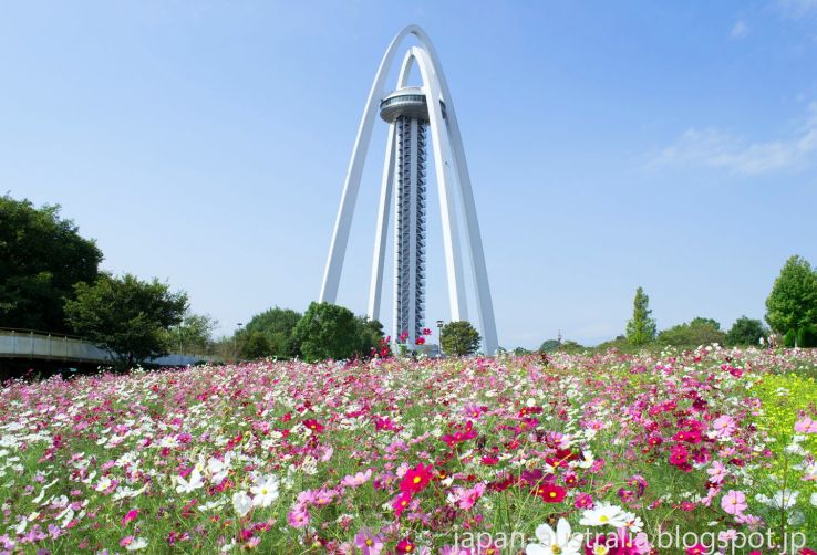 138 Tower Park Trip Packages