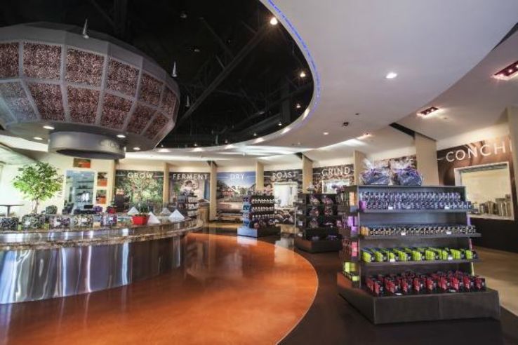 Chocxo Bean To Bar Chocolatier Trip Packages