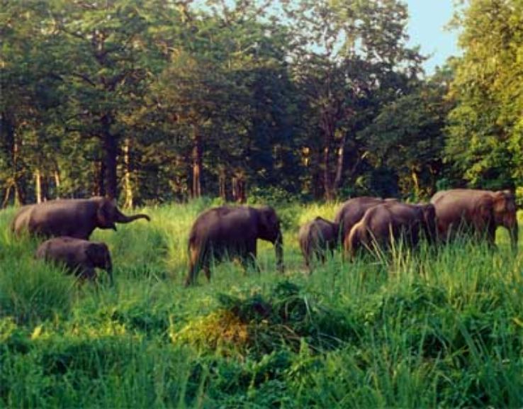 3 Days Bagdogra to Lataguri Hill Stations Trip Package