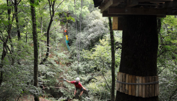 Jungle Raider Park Trip Packages