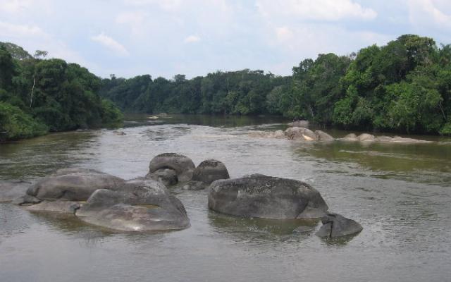 Savoring the Tranquility of Savanna Land in Brazil Trip Packages