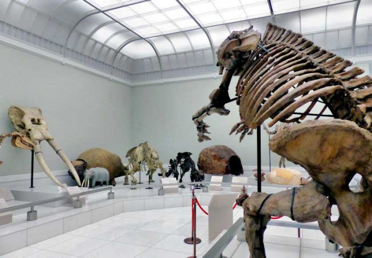 Tokushima Prefectural Museum Trip Packages