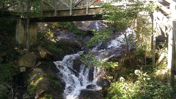 Amicalola Falls State Park Trip Packages