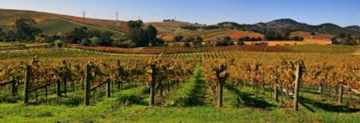 Napa Valley  Trip Packages