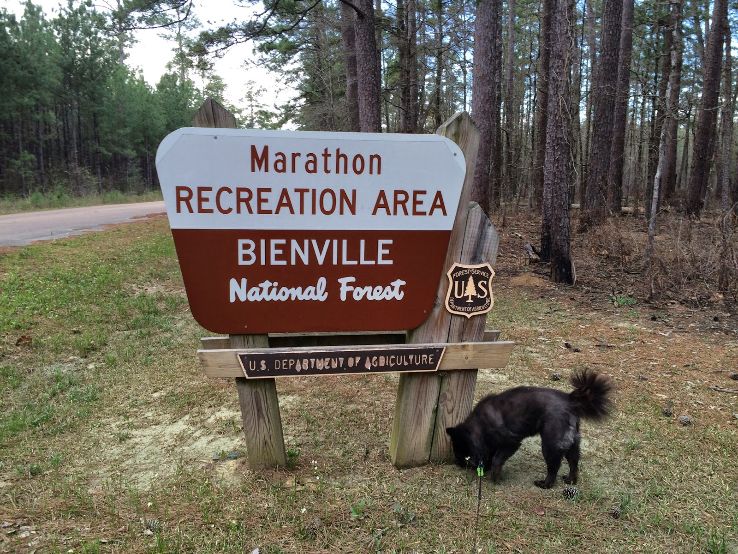 Bienville National Forest Trip Packages