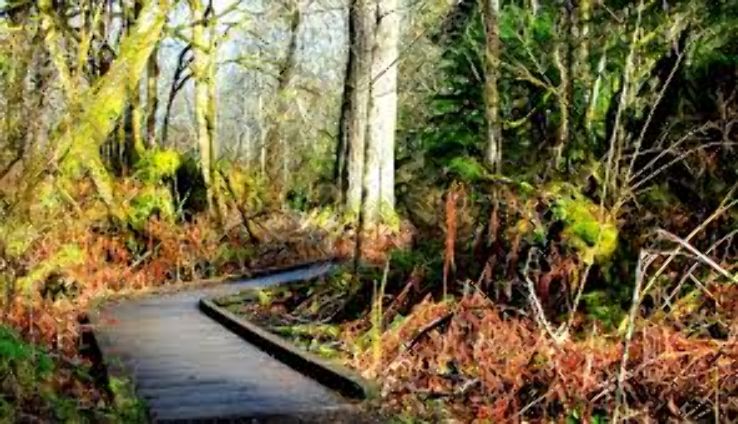 Watershed Park Trip Packages