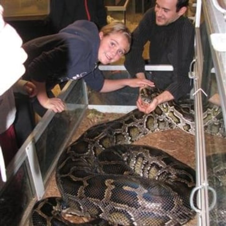 The Serpentarium Trip Packages