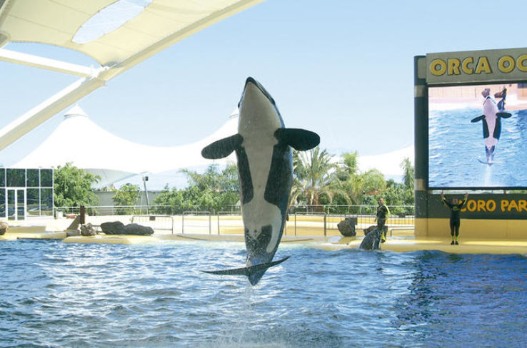 Loro Parque Trip Packages