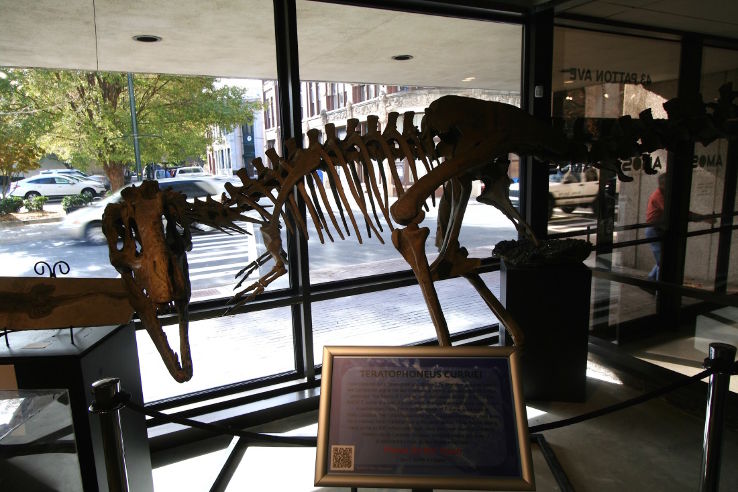 Asheville Museum of Science Trip Packages