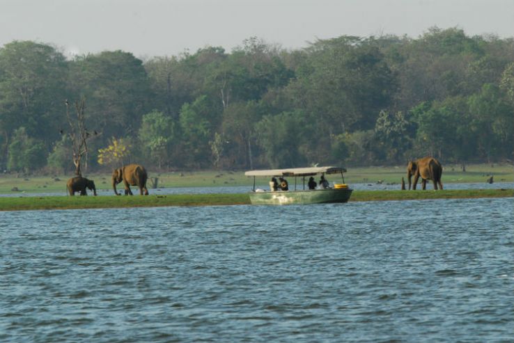 Kabini River Lodge Trip Packages
