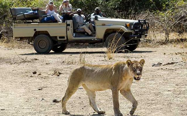 Kafue National Park Trip Packages