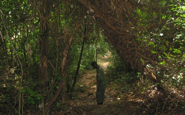 Ashanti Trip Packages