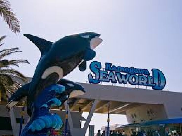 Kamogawa Sea World Trip Packages