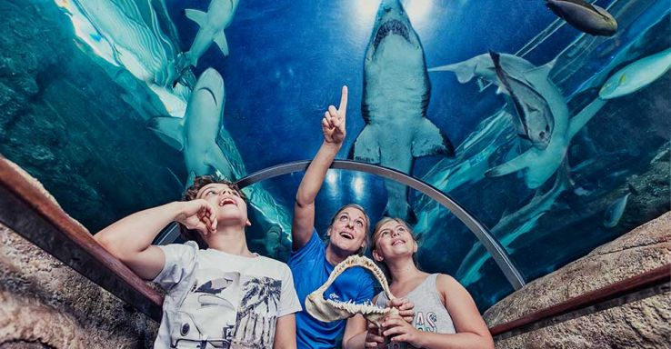 Kattegatcentret Trip Packages