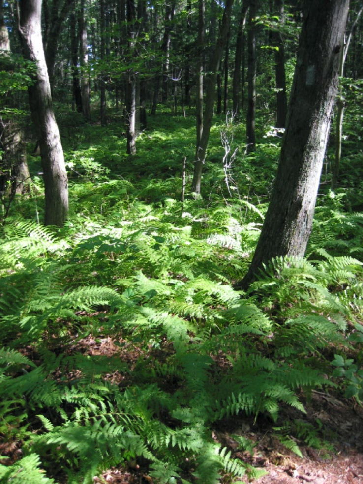 Kennard Park Trip Packages