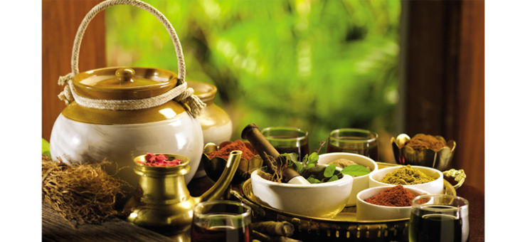 Try the Ayurvedic Massage in Kerala Trip Packages