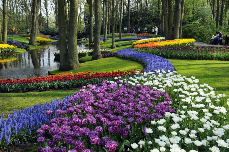 Keukenhof Trip Packages