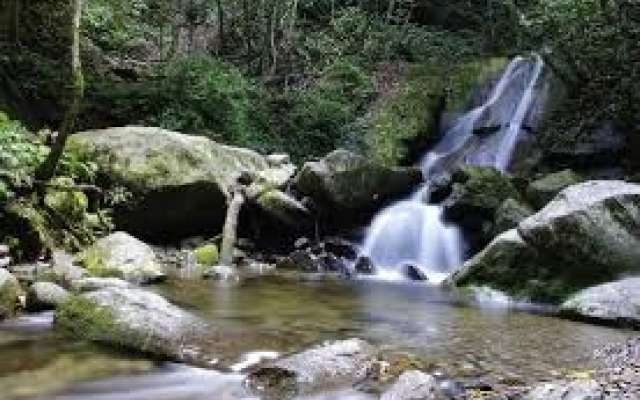 Kinabalu National Park Trip Packages