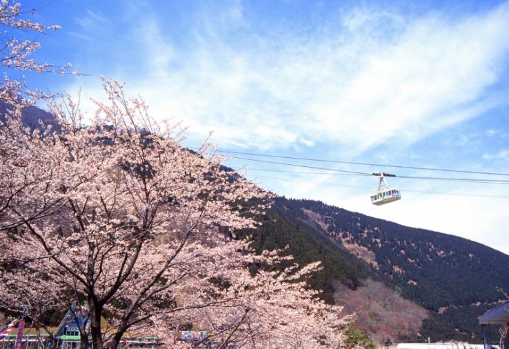 Beppu Ropeway Trip Packages