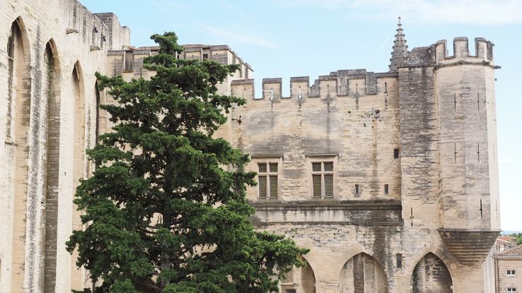 Avignon Trip Packages