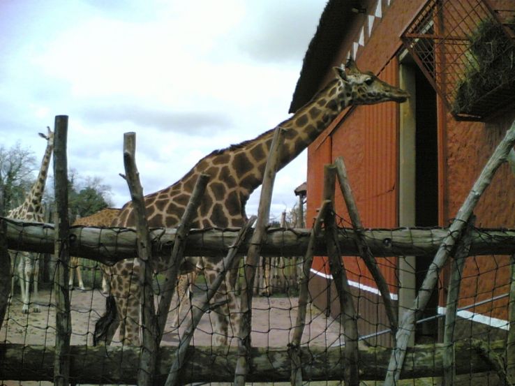 Zoo de Bordeaux Pessac Trip Packages