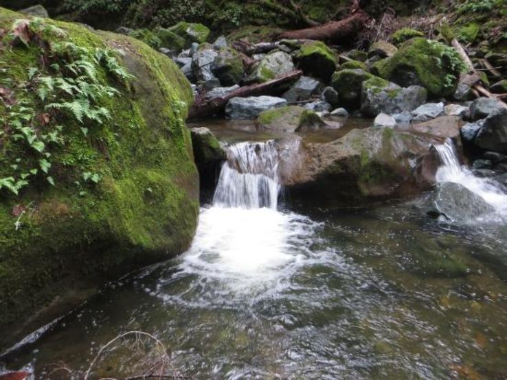 Kenwood Trip Packages