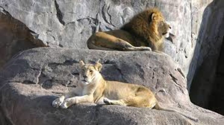 Sedgwick County Zoo Trip Packages