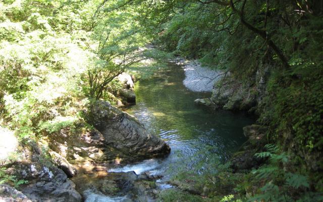 Walk The Kopren Eco Trail Trip Packages