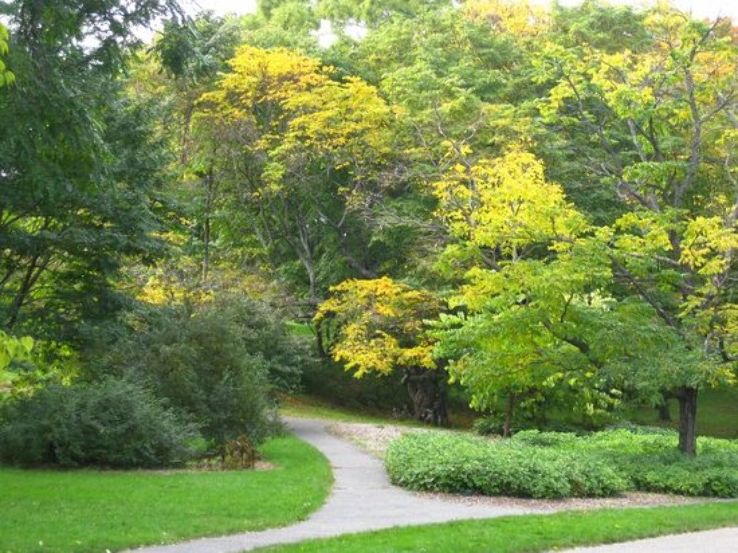 Arnold Arboretum Trip Packages