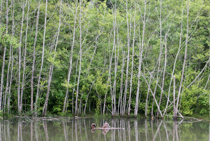 Kaiser Woods Natural Area  Trip Packages