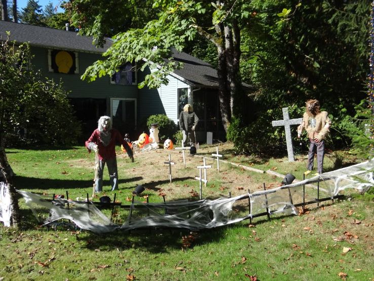 Covington Community Park & Soccer Field  Trip Packages