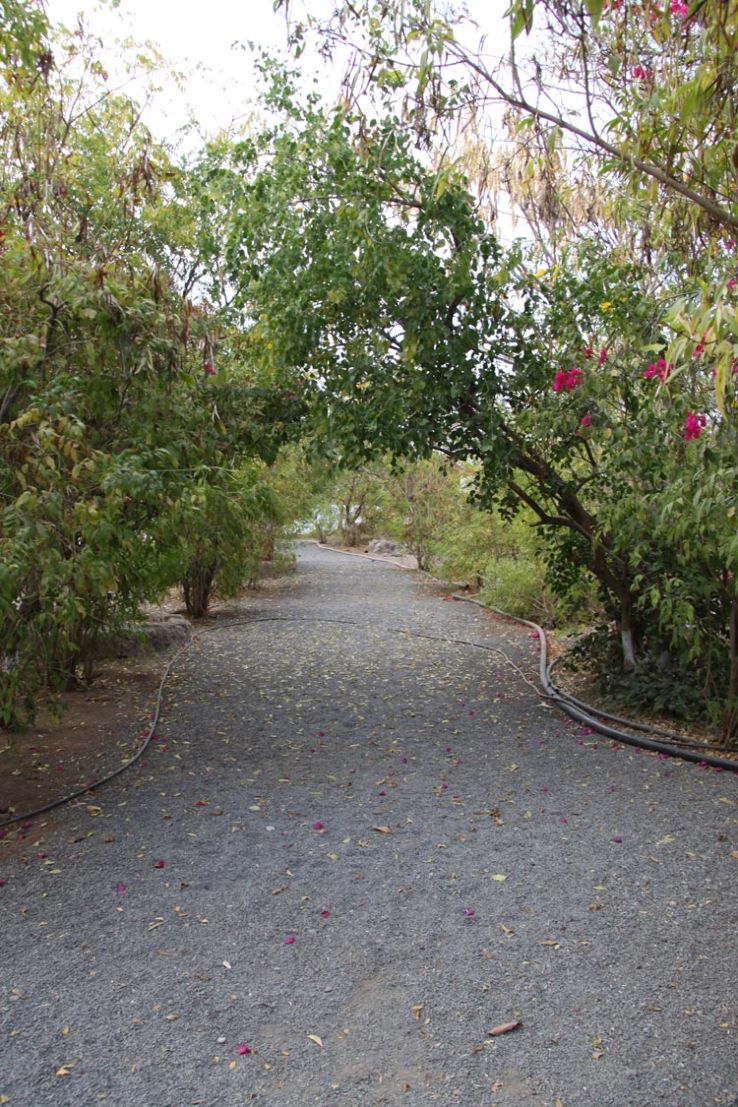 Hindolgadh Nature Education Sanctuary  Trip Packages